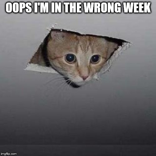 Ceiling Cat | OOPS I'M IN THE WRONG WEEK | image tagged in memes,ceiling cat | made w/ Imgflip meme maker