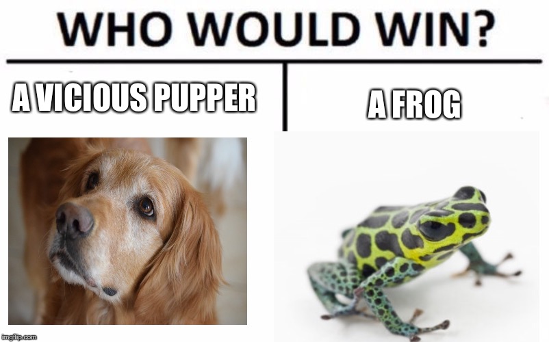 Frog or pupper | A VICIOUS PUPPER; A FROG | image tagged in memes,who would win | made w/ Imgflip meme maker