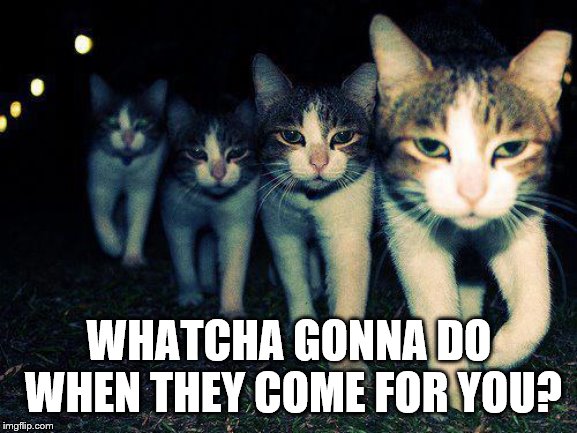 Wrong Neighboorhood Cats | WHATCHA GONNA DO WHEN THEY COME FOR YOU? | image tagged in memes,wrong neighboorhood cats | made w/ Imgflip meme maker
