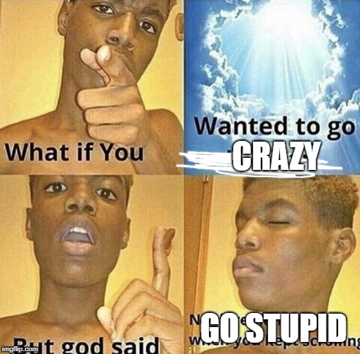 What If You Wanted To Go To Heaven | CRAZY; GO STUPID | image tagged in what if you wanted to go to heaven | made w/ Imgflip meme maker