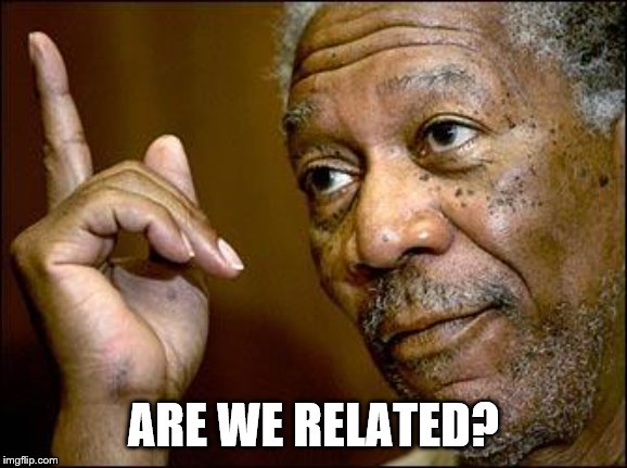 This Morgan Freeman | ARE WE RELATED? | image tagged in this morgan freeman | made w/ Imgflip meme maker