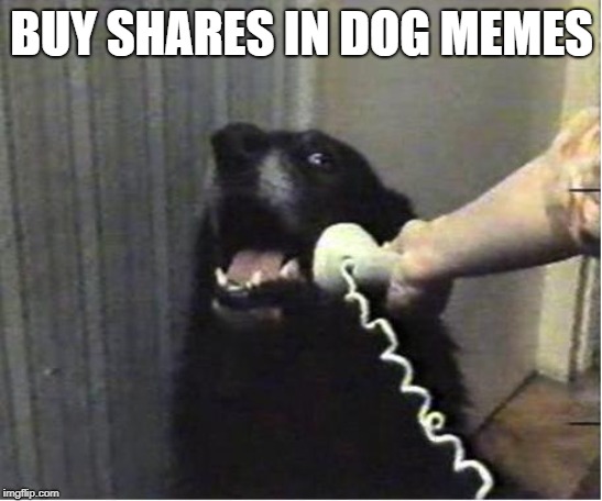 Yes this is dog | BUY SHARES IN DOG MEMES | image tagged in yes this is dog | made w/ Imgflip meme maker