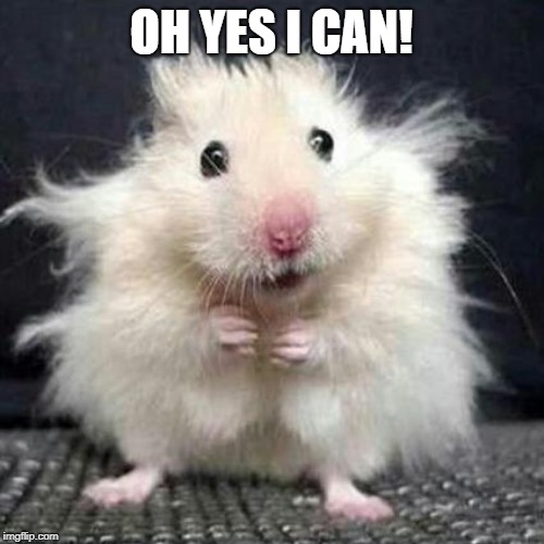 Stressed Mouse | OH YES I CAN! | image tagged in stressed mouse | made w/ Imgflip meme maker