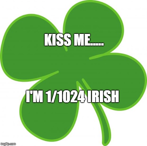 irish | KISS ME..... I'M 1/1024 IRISH | image tagged in irish | made w/ Imgflip meme maker