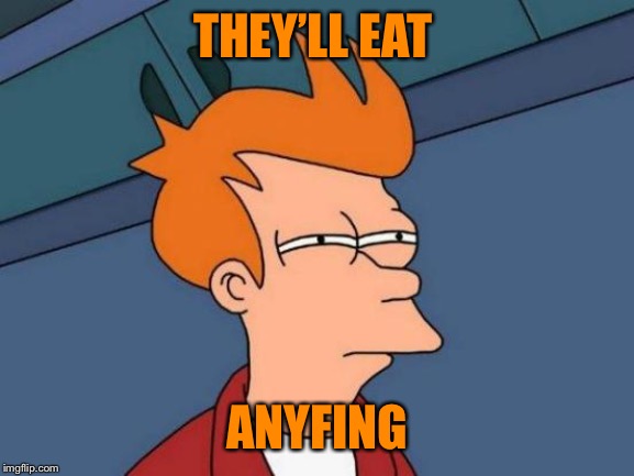 Futurama Fry Meme | THEY’LL EAT ANYFING | image tagged in memes,futurama fry | made w/ Imgflip meme maker