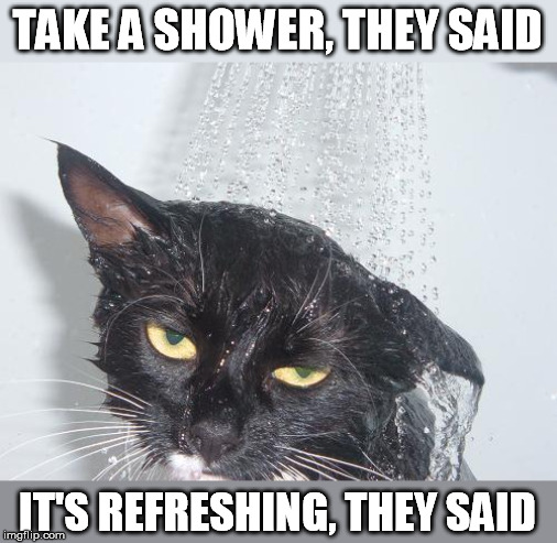 Nope. | TAKE A SHOWER, THEY SAID; IT'S REFRESHING, THEY SAID | image tagged in the face you make,shower thoughts,cat,meh | made w/ Imgflip meme maker