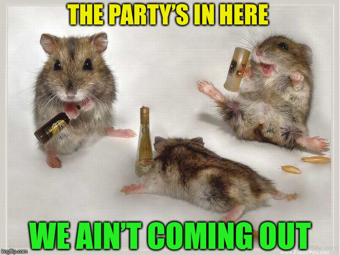 Party Mouses | THE PARTY’S IN HERE WE AIN’T COMING OUT | image tagged in party mouses | made w/ Imgflip meme maker