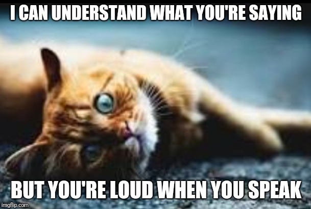 I CAN UNDERSTAND WHAT YOU'RE SAYING; BUT YOU'RE LOUD WHEN YOU SPEAK | image tagged in confession cat | made w/ Imgflip meme maker