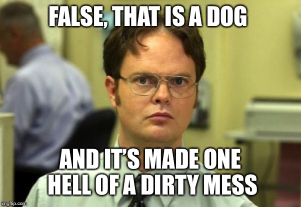 Dwight Schrute Meme | FALSE, THAT IS A DOG AND IT’S MADE ONE HELL OF A DIRTY MESS | image tagged in memes,dwight schrute | made w/ Imgflip meme maker