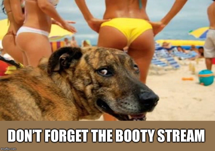 DON’T FORGET THE BOOTY STREAM | made w/ Imgflip meme maker