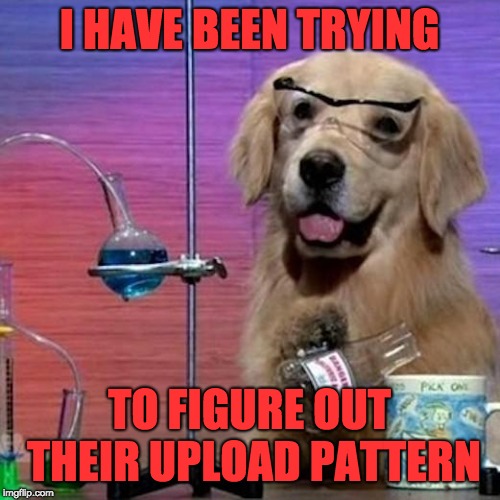 I Have No Idea What I Am Doing Dog Meme | I HAVE BEEN TRYING TO FIGURE OUT THEIR UPLOAD PATTERN | image tagged in memes,i have no idea what i am doing dog | made w/ Imgflip meme maker