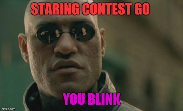Matrix Morpheus Meme | STARING CONTEST GO; YOU BLINK | image tagged in memes,matrix morpheus | made w/ Imgflip meme maker