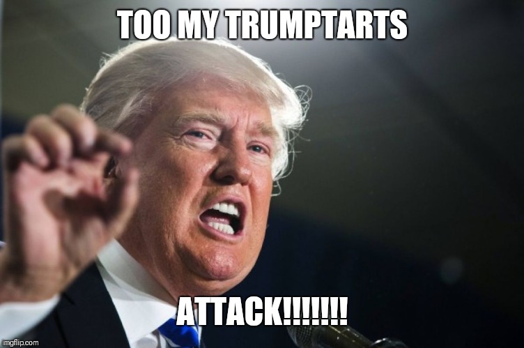 donald trump | TOO MY TRUMPTARTS; ATTACK!!!!!!! | image tagged in donald trump | made w/ Imgflip meme maker