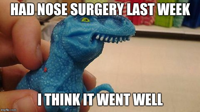 It went very well....in my opinion | HAD NOSE SURGERY LAST WEEK; I THINK IT WENT WELL | image tagged in dinosaurio f,memes,funny,funny memes,nose,surgery | made w/ Imgflip meme maker