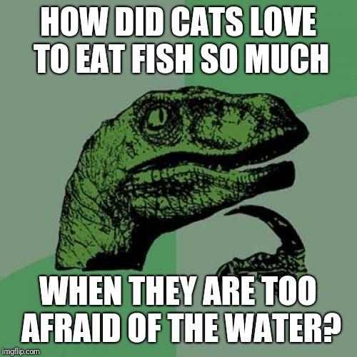 Philosoraptor Meme | HOW DID CATS LOVE TO EAT FISH SO MUCH; WHEN THEY ARE TOO AFRAID OF THE WATER? | image tagged in memes,philosoraptor | made w/ Imgflip meme maker