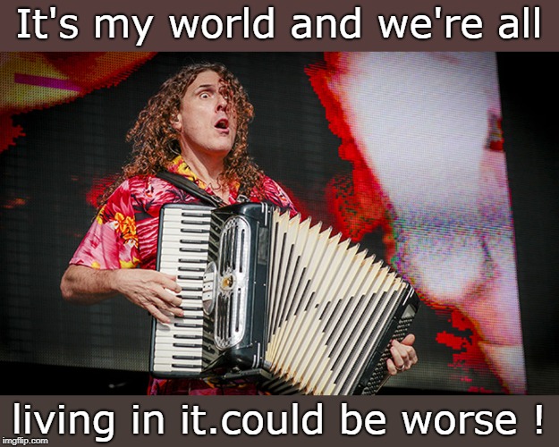 remember when al yankovic told us all the truth ? | It's my world and we're all; living in it.could be worse ! | image tagged in wierd al,accordion tune,centered people,meme this | made w/ Imgflip meme maker