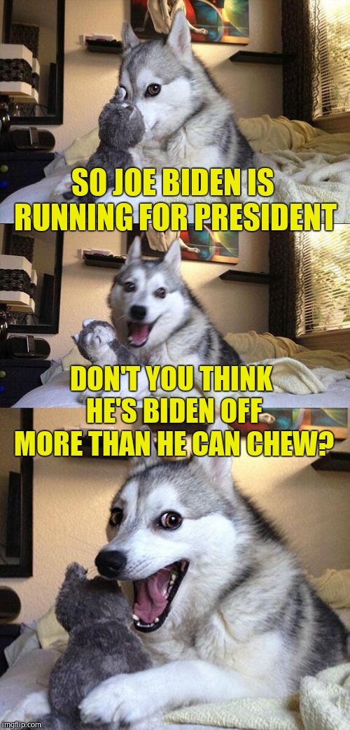 A real groaner | SO JOE BIDEN IS RUNNING FOR PRESIDENT; DON'T YOU THINK HE'S BIDEN OFF MORE THAN HE CAN CHEW? | image tagged in memes,bad pun dog,joe biden,creepy joe biden | made w/ Imgflip meme maker