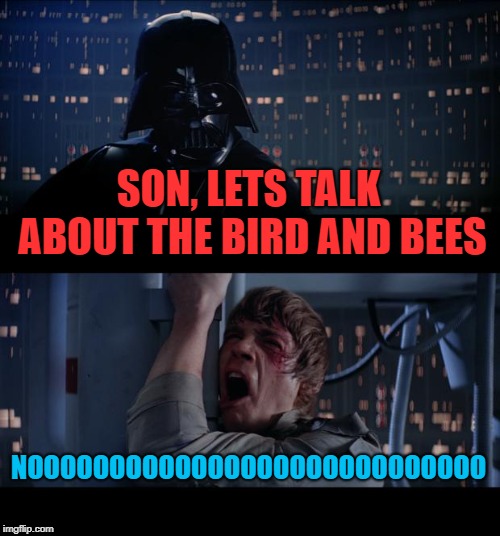 Star Wars No Meme | SON, LETS TALK ABOUT THE BIRD AND BEES; NOOOOOOOOOOOOOOOOOOOOOOOOOOOO | image tagged in memes,star wars no | made w/ Imgflip meme maker