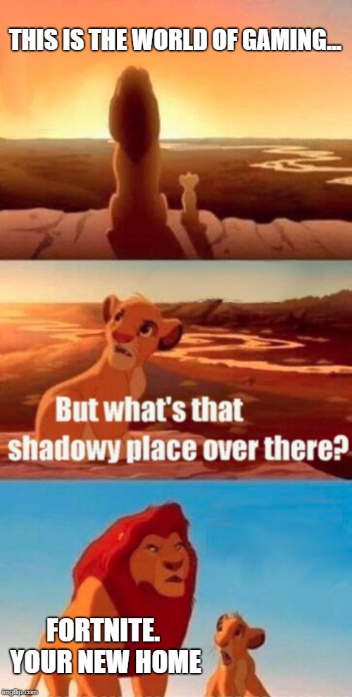 Simba Shadowy Place Meme | THIS IS THE WORLD OF GAMING... FORTNITE. YOUR NEW HOME | image tagged in memes,simba shadowy place | made w/ Imgflip meme maker