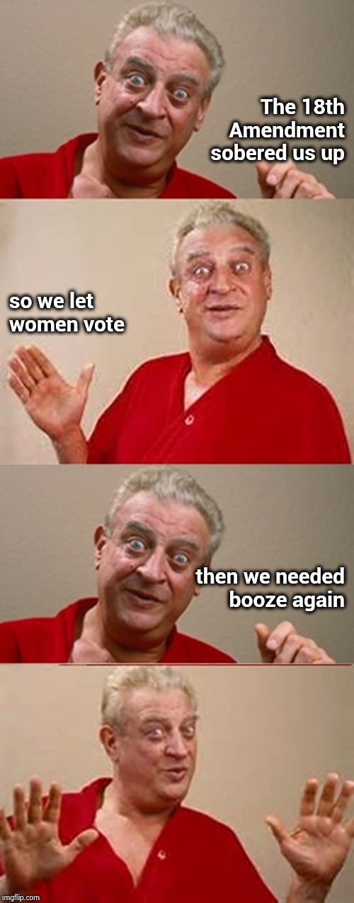 Who came up with Daylight Savings ? | The 18th Amendment sobered us up; so we let women vote; then we needed booze again | image tagged in bad pun rodney dangerfield,constitution,constipation,thinking about other girls,put it somewhere else patrick | made w/ Imgflip meme maker