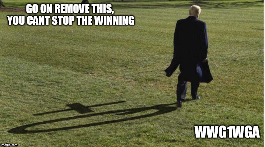 GO ON REMOVE THIS, YOU CANT STOP THE WINNING | image tagged in trump | made w/ Imgflip meme maker