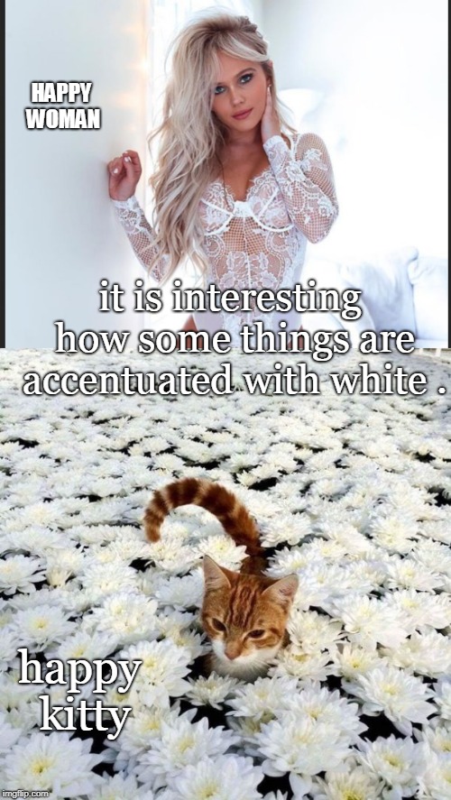 many of us just appreciate a well constructed picture.here happy kitty. | HAPPY WOMAN; it is interesting how some things are accentuated with white . happy kitty | image tagged in white lingerie,cat flowers,good photo,memes | made w/ Imgflip meme maker