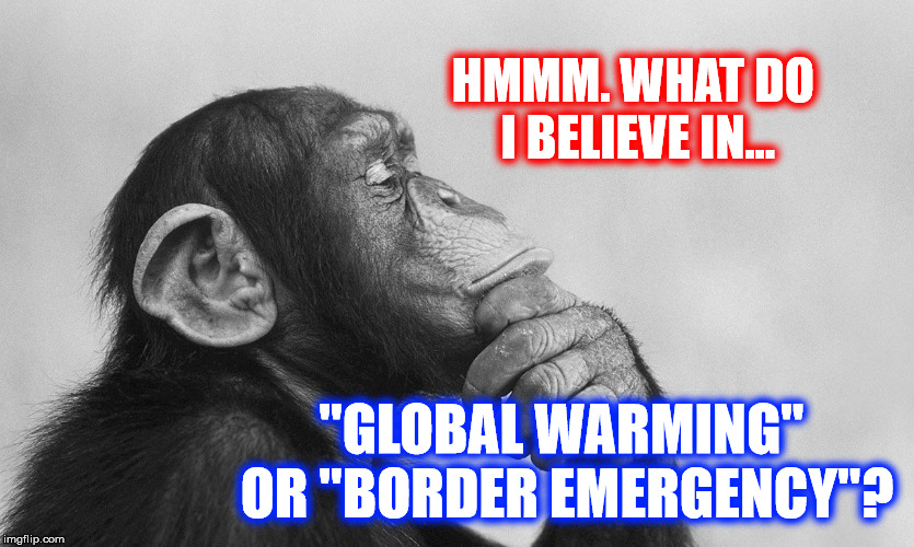 Fake News | HMMM. WHAT DO I BELIEVE IN... "GLOBAL WARMING" OR "BORDER EMERGENCY"? | image tagged in memes,dank memes,funny,politics,first world problems | made w/ Imgflip meme maker