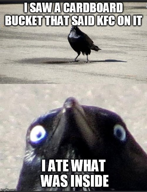 insanity crow | I SAW A CARDBOARD BUCKET THAT SAID KFC ON IT; I ATE WHAT WAS INSIDE | image tagged in insanity crow | made w/ Imgflip meme maker