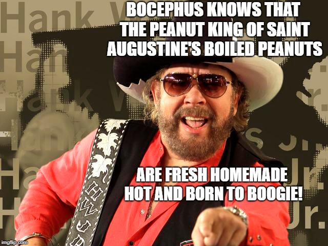 BOCEPHUS KNOWS THAT THE PEANUT KING OF SAINT AUGUSTINE'S BOILED PEANUTS; ARE FRESH HOMEMADE HOT AND BORN TO BOOGIE! | image tagged in funny memes | made w/ Imgflip meme maker