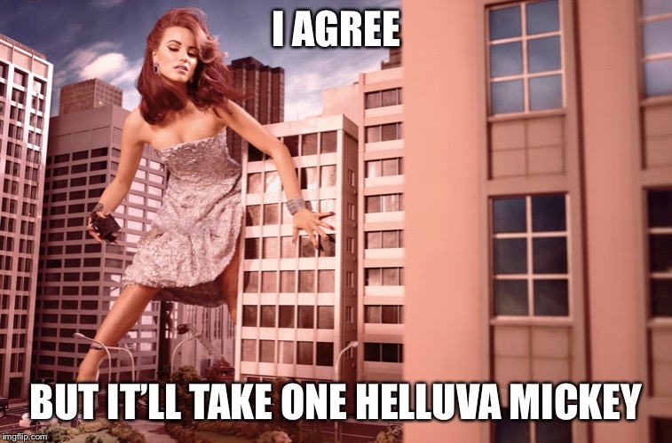 I AGREE BUT IT’LL TAKE ONE HELLUVA MICKEY | made w/ Imgflip meme maker