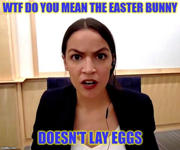 Alexandria Ocasio-Cortez | WTF DO YOU MEAN THE EASTER BUNNY; DOESN'T LAY EGGS | image tagged in alexandria ocasio-cortez | made w/ Imgflip meme maker