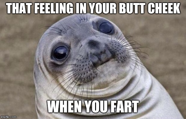 Awkward Moment Sealion Meme | THAT FEELING IN YOUR BUTT CHEEK; WHEN YOU FART | image tagged in memes,awkward moment sealion | made w/ Imgflip meme maker