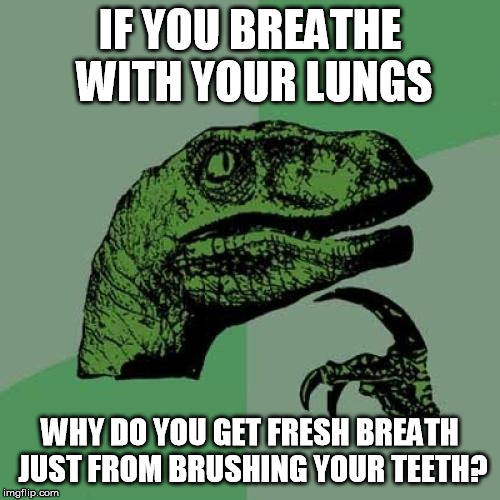 Philosoraptor Meme | IF YOU BREATHE WITH YOUR LUNGS; WHY DO YOU GET FRESH BREATH JUST FROM BRUSHING YOUR TEETH? | image tagged in memes,philosoraptor | made w/ Imgflip meme maker