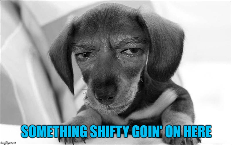 SOMETHING SHIFTY GOIN' ON HERE | made w/ Imgflip meme maker