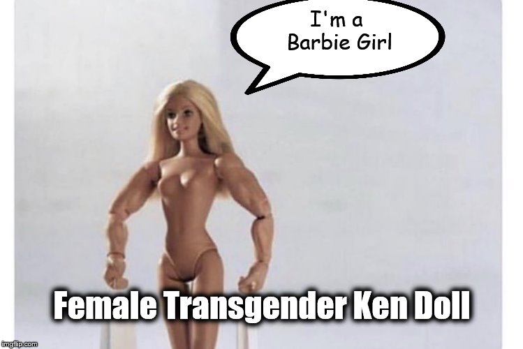 Female Transgender Ken Doll | I'm a Barbie Girl; Female Transgender Ken Doll | image tagged in female transgender ken doll | made w/ Imgflip meme maker