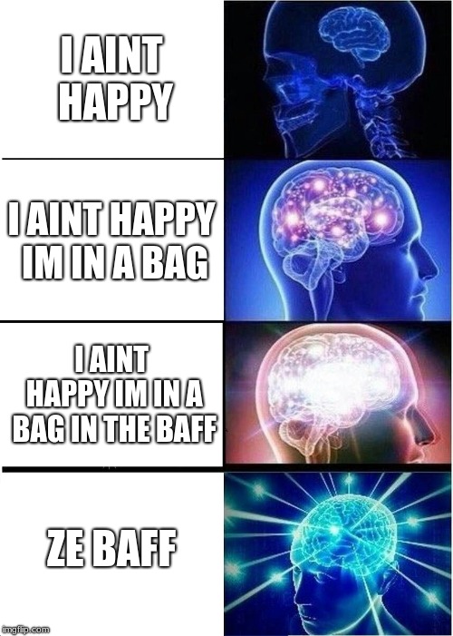 Expanding Brain Meme | I AINT HAPPY; I AINT HAPPY IM IN A BAG; I AINT HAPPY IM IN A BAG IN THE BAFF; ZE BAFF | image tagged in memes,expanding brain | made w/ Imgflip meme maker