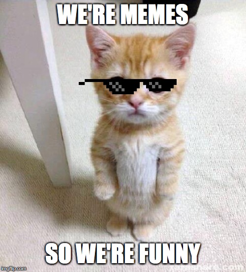 Cute Cat Meme | WE'RE MEMES; SO WE'RE FUNNY | image tagged in memes,cute cat | made w/ Imgflip meme maker