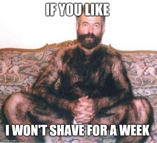 Hairy man | IF YOU LIKE I WON'T SHAVE FOR A WEEK | image tagged in hairy man | made w/ Imgflip meme maker