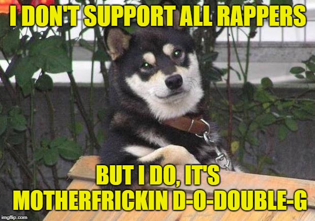Cool dog | I DON'T SUPPORT ALL RAPPERS BUT I DO, IT'S MOTHERFRICKIN D-O-DOUBLE-G | image tagged in cool dog | made w/ Imgflip meme maker