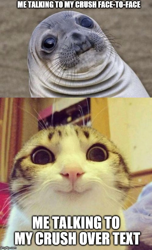 Crush communications are always difficult :/ | ME TALKING TO MY CRUSH FACE-TO-FACE; ME TALKING TO MY CRUSH OVER TEXT | image tagged in memes,awkward moment sealion,smiling cat | made w/ Imgflip meme maker