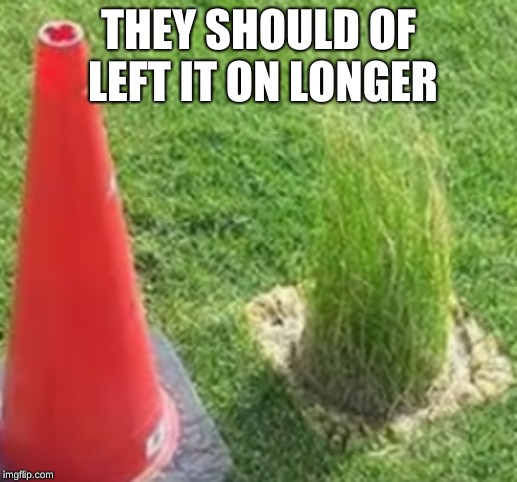 I'm going to try this out. | THEY SHOULD OF LEFT IT ON LONGER | image tagged in memes,grass,fun,funny | made w/ Imgflip meme maker