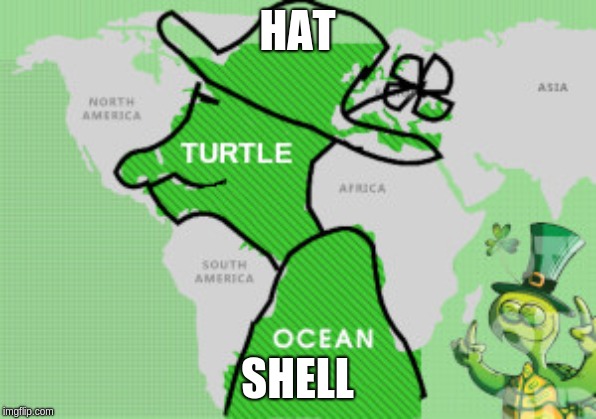 Turtle Ocean | HAT SHELL | image tagged in turtle ocean | made w/ Imgflip meme maker