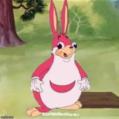 Ugandan chungles | image tagged in ugandan chungles | made w/ Imgflip meme maker