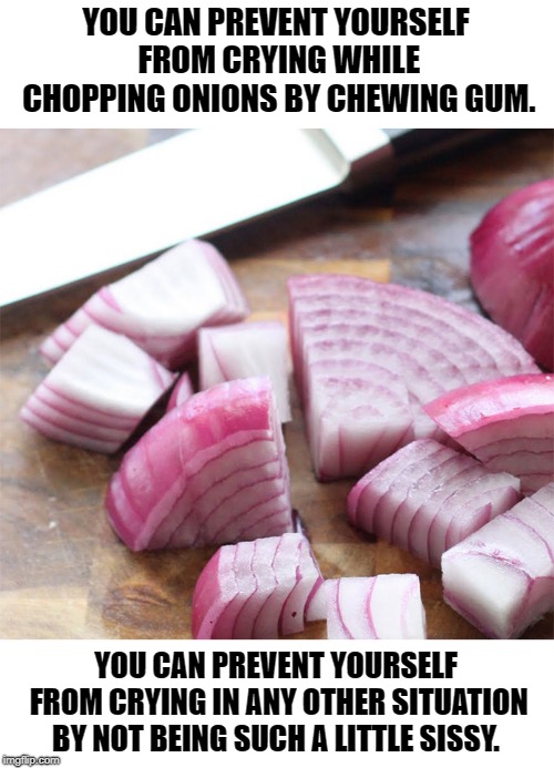 YOU CAN PREVENT YOURSELF FROM CRYING WHILE CHOPPING ONIONS BY CHEWING GUM. |  YOU CAN PREVENT YOURSELF FROM CRYING WHILE CHOPPING ONIONS BY CHEWING GUM. YOU CAN PREVENT YOURSELF FROM CRYING IN ANY OTHER SITUATION BY NOT BEING SUCH A LITTLE SISSY. | image tagged in onions,sissy | made w/ Imgflip meme maker