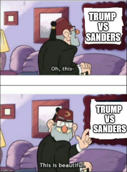 I Want to See This Fight | TRUMP VS SANDERS; TRUMP VS SANDERS | image tagged in now this this is beatiful,politics,fun,bernie sanders,donald trump,gravity falls | made w/ Imgflip meme maker