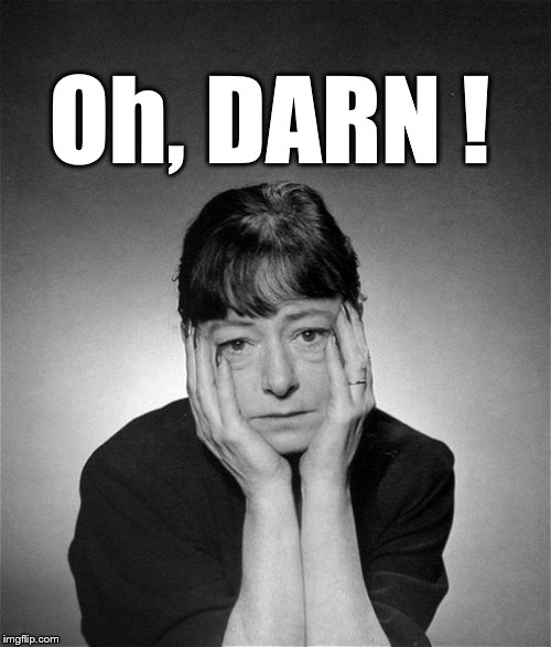 Dorothy Parker | Oh, DARN ! | image tagged in dorothy parker | made w/ Imgflip meme maker