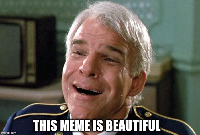 tears of joy steve martin | THIS MEME IS BEAUTIFUL | image tagged in tears of joy steve martin | made w/ Imgflip meme maker