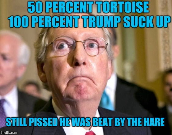 50 PERCENT TORTOISE 100 PERCENT TRUMP SUCK UP STILL PISSED HE WAS BEAT BY THE HARE | made w/ Imgflip meme maker