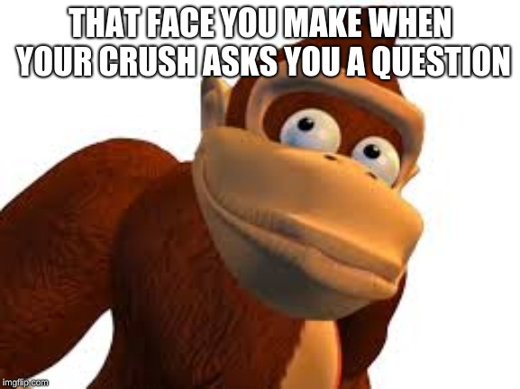 THAT FACE YOU MAKE WHEN YOUR CRUSH ASKS YOU A QUESTION | image tagged in donkey kong | made w/ Imgflip meme maker