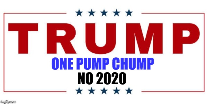 ONE PUMP CHUMP; NO 2020 | image tagged in donald trump | made w/ Imgflip meme maker